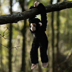 침팬지인형, 동물인형